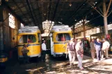 Alexandria articulated tram 803 inside the depot Karmus (2002)