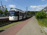 Bielefeld tram line 4 with articulated tram 5011 "Holtkamp" at Lohmannshof (2022)