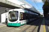 Ludwigshafen tram line 10 with low-floor articulated tram 221 at Schützenstraße (2009)