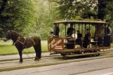 Postcard: Gothenburg open horse tram on Kungsportsavenyen (1980)