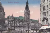 Postcard: Hamburg on Rathausmarkt (1895)