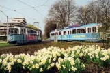Postcard: Heidelberg tram line 24 with articulated tram 232 near Römerkreis (1975)