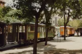 Rome tram line 3 with railcar 2243 at Risorgimento S.Pietro (1982)