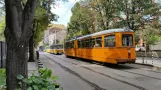 Sofia tram line 22 with articulated tram 4239 on bul. "Yanko Sakazov", seen from behind (2014)