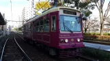 Tokyo Toei Streetcar Arakawa Line with railcar 7706 at Omokagebashi (2017)