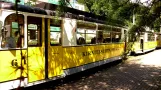 Bad Schandau Kirnitzschtal 241 with railcar 6, side view Kurpark (2015)