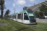 Barcelona tram line T1 with low-floor articulated tram 16 on Maria Cristina Avinguda Diagonal (2012)