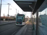 Barcelona tram line T6 with low-floor articulated tram 11 at La Farinera (2015)