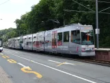 Bielefeld tram line 1 with articulated tram 563 at Brackwede (2024)