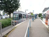 Bielefeld tram line 1 with articulated tram 563 at Johannesstift (2020)