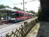 Bielefeld tram line 1 with articulated tram 590 at Senne (2022)