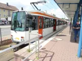 Bielefeld tram line 2 with articulated tram 559 at Sieker (2022)