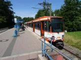 Bielefeld tram line 3 with articulated tram 551 at Stieghorst (2020)