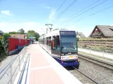 Bielefeld tram line 3 with articulated tram 582 at Elpke (2020)