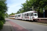 Bielefeld tram line 4 with articulated tram 555 at Graf-von-Stauffenberg-Straße (2016)