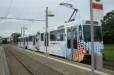 Braunschweig tram line 1 with articulated tram 8153 at Stöckheim (Salzdahlumer Weg) (2012)