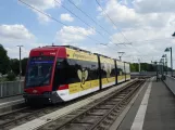 Braunschweig tram line 1 with low-floor articulated tram 1463 at Sachsendamm (2020)
