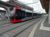 Bremen tram line 10 with low-floor articulated tram 3425 in Gröpelingen (2023)