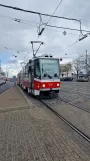 Brno tram line 12 with articulated tram 1213 on Husova (2024)