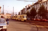 Brussels articulated tram 7901 on Avenue du Roi (1981)