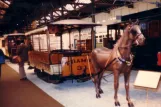 Brussels open horse-drawn tram 31 on Musée du Tram (1981)