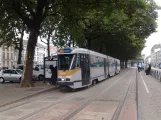 Brussels tram line 51 with articulated tram 7919 at Lemonnier (2017)