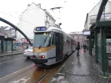 Brussels tram line 81 with articulated tram 7925 at Mouterij/Germoir (2019)
