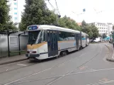Brussels tram line 81 with articulated tram 7961 at Bara (2017)