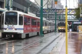 Buffalo tram line Metro Rail with articulated tram 115 on Main Street (2013)