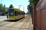 Dessau tram line 1 with low-floor articulated tram 303 at Friedhof lll (2015)