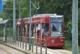 Dessau tram line 3 with low-floor articulated tram 307 at Bauhaus Museum (2015)