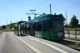 Dessau tram line 3 with low-floor articulated tram 308 at Junkerspark (2015)