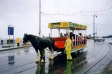 Douglas, Isle of Man Horse Drawn Trams with open horse-drawn tram 33 at Sea Terminal (2006)
