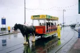 Douglas, Isle of Man Horse Drawn Trams with open horse-drawn tram 33 at Sea Terminal  front view (2006)