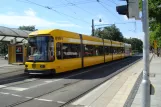 Dresden tram line 12 with low-floor articulated tram 2718 at Pirnaischer Platz (Stadtmuseum) (2011)