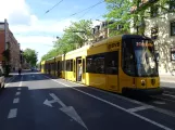 Dresden tram line 3 with low-floor articulated tram 2827 "Stadt Radeberg" at Trachenberger Platz (2019)