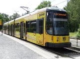 Dresden tram line 8 with low-floor articulated tram 2619 at Hellerau Kiefernweg (2019)