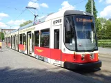 Dresden tram line 8 with low-floor articulated tram 2625 "Partnerstadt Florenz" at Albertplatz (2019)