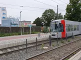 Düsseldorf tram line 704 at Auf's Hennekamp (2020)