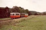 Érezée on Tramway Touristique de l'Aisne (1981)