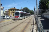 Florence tram line T1 with low-floor articulated tram 1011 on Viale Fratelli Rosselli (2016)