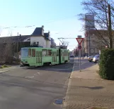 Frankfurt (Oder) tram line 2 with articulated tram 219 at Messegelände (2022)