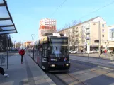 Frankfurt (Oder) tram line 4 with low-floor articulated tram 305 at Magistrale (2022)