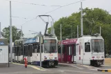 Geneva tram line 13 with articulated tram 810 at Nations (2010)