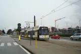 Ghent tram line 24 with low-floor articulated tram 6306 at Melle Leeuw (2014)