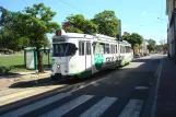 Gorzów Wielkopolski tram line 2 with articulated tram 252 at Jancarza (2015)