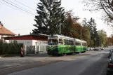 Graz tram line 7 with articulated tram 584 on Burenstraße (2008)