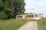 Hannover Aaßenstrecke with articulated tram 2 by crossing Hohenfelser Straße (2016)