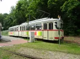 Hannover Hohenfelser Wald with articulated tram 2304 at Straßenbahn-Haltestelle (2018)