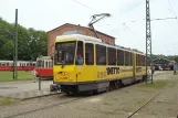 Hannover Hohenfelser Wald with articulated tram 6016 at Straßenbahn-Haltestelle (2016)